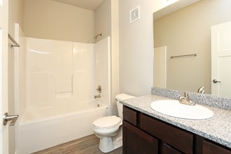 Windsor Village Condos in Ankeny, IA - Foto de edificio - Interior Photo