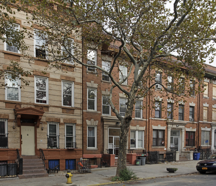 431 Marion St in Brooklyn, NY - Foto de edificio