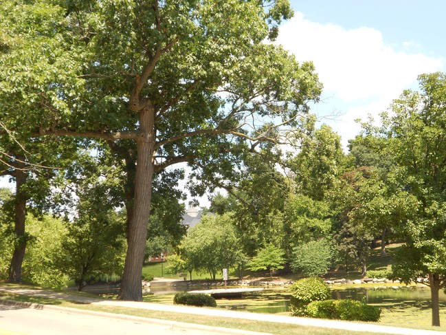 700 Bode Rd in Elgin, IL - Foto de edificio - Building Photo