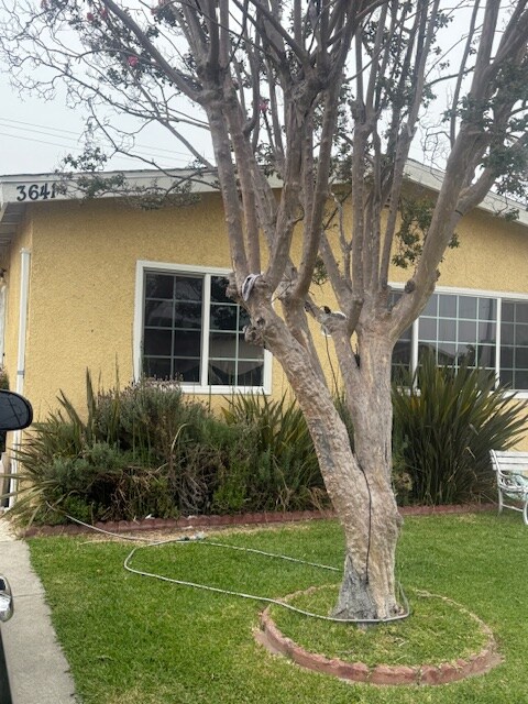 3641 E 59th Pl in Huntington Park, CA - Building Photo