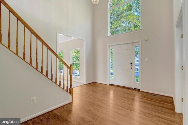 8437 Summer Breeze Pl in Manassas, VA - Foto de edificio - Building Photo
