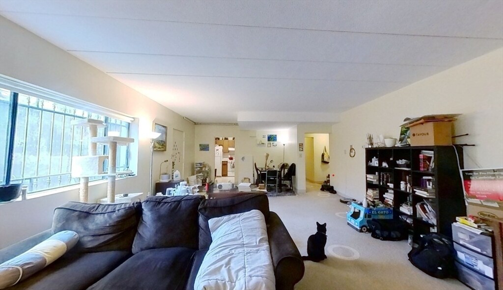 24 Highland Ave in Cambridge, MA - Building Photo