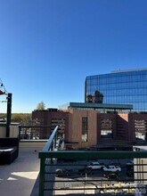 115 E Park Ave in Charlotte, NC - Building Photo - Building Photo