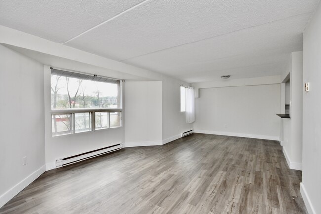 property at 56 Donald St