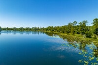 Apartments in Pinellas Park, FL