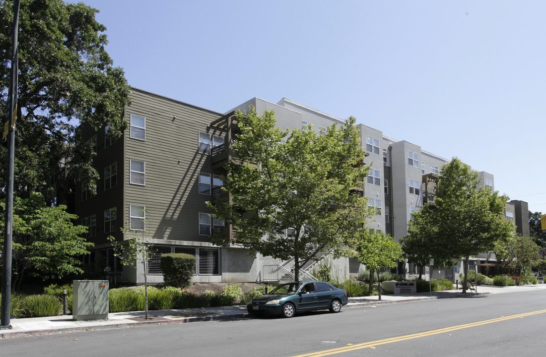 Coggins Square Apartments in Walnut Creek, CA - Building Photo