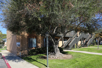 55+ La Casa Balboa in San Diego, CA - Building Photo - Building Photo