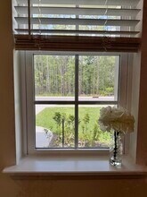 224 Beach Palm Ct in St. Augustine, FL - Building Photo - Building Photo