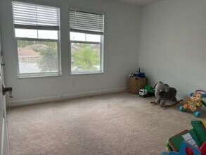 11742 Winterset Cove Dr in Riverview, FL - Building Photo - Building Photo