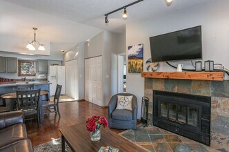 559 Blue River Rd in Breckenridge, CO - Building Photo - Building Photo