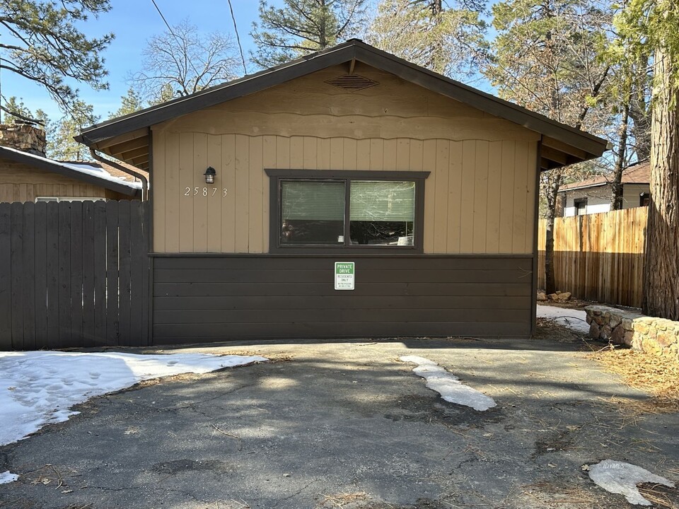 25873 Cedar St in Idyllwild, CA - Building Photo