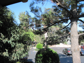 808 Santa Barbara St in Pasadena, CA - Building Photo - Building Photo