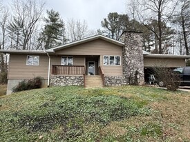 245 Meadowbrook Rd in Afton, TN - Building Photo