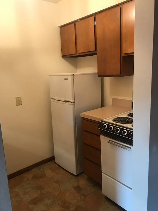 215 Main St N-Unit -Apartment #6 in Minnesota Lake, MN - Building Photo