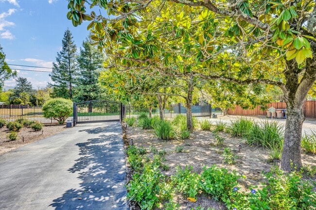 1790 McKinley Rd in Napa, CA - Building Photo - Building Photo