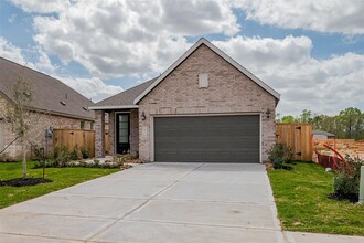 18116 Trepito Ave in New Caney, TX - Building Photo - Building Photo