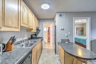 3844 Park Ave in St. Louis, MO - Building Photo - Building Photo