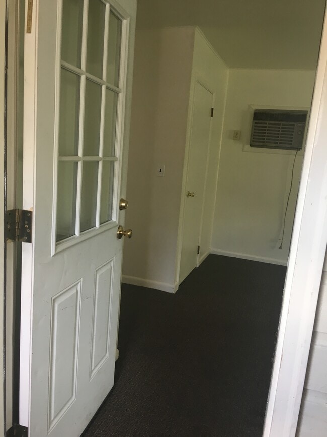 210 S Fancher Ave, Unit 210 S. Fancher in Mt. Pleasant, MI - Building Photo - Building Photo