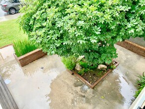 3491 Eboe St in Irvine, CA - Building Photo - Building Photo