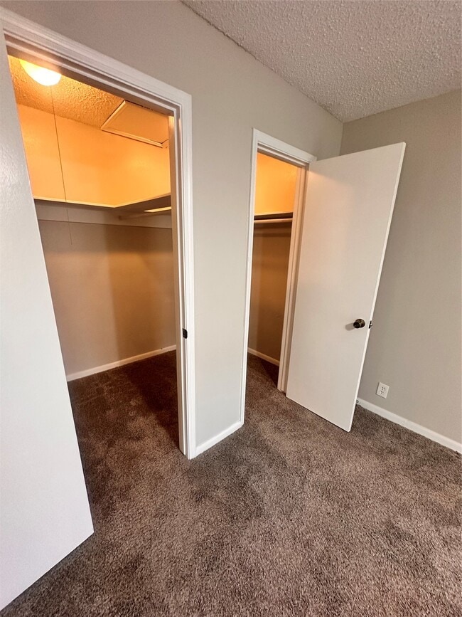 700 Thicket Ln in Houston, TX - Building Photo - Building Photo