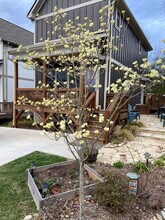 72 Wheeler Rd in Weaverville, NC - Building Photo - Building Photo