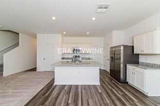 10419 Ladybug Cv in Parrish, FL - Building Photo - Building Photo