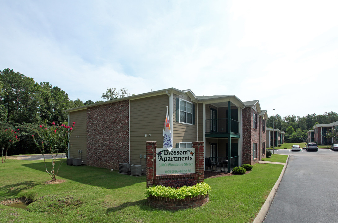 Blossom Apartments in Jackson, MS - Building Photo