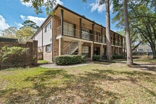 805 Wax Myrtle Ln in Houston, TX - Building Photo
