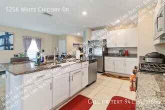 5256 White Chicory Dr in Apollo Beach, FL - Building Photo - Building Photo