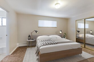 Maple Leaf Apartments in Denver, CO - Foto de edificio - Building Photo