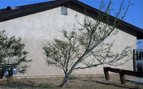 13444 Mohawk Rd in Apple Valley, CA - Building Photo - Building Photo