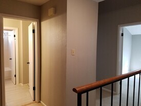 335 Harmony Ct in San Antonio, TX - Building Photo