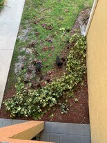 1108 Coral Club Dr, Unit 1108 in Coral Springs, FL - Building Photo