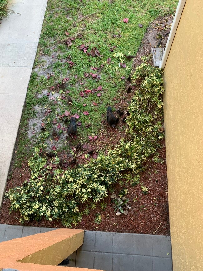 property at 1108 Coral Club Dr