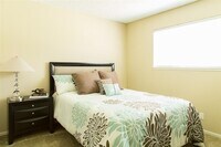 Ventura Terrace photo'