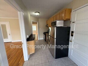 1416 N Downing St in Denver, CO - Building Photo - Building Photo