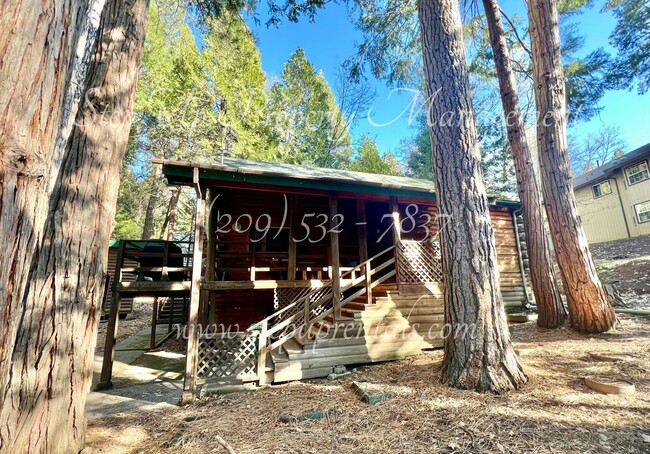 24201 Martingale Ln in Sonora, CA - Building Photo - Building Photo