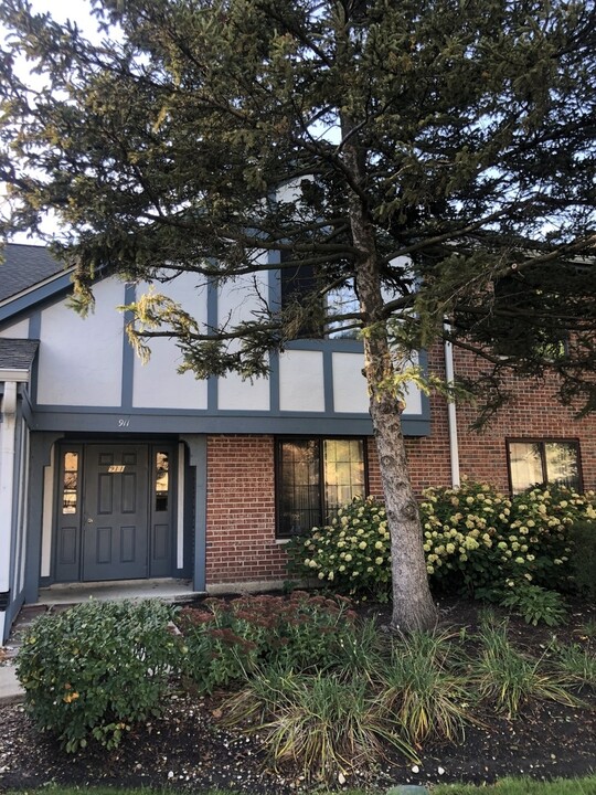 911 Yosemite Trail in Roselle, IL - Foto de edificio