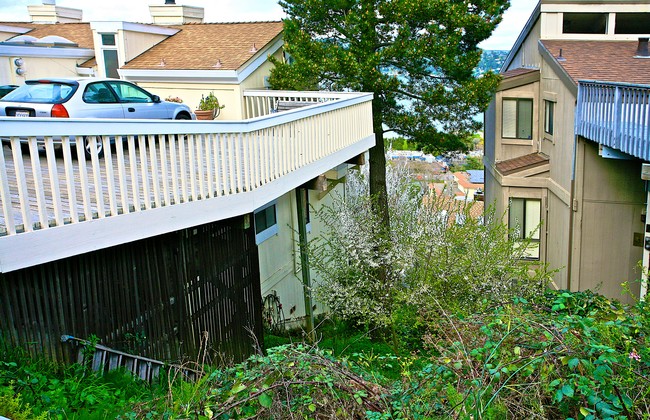 184 Cazneau Ave in Sausalito, CA - Foto de edificio - Building Photo