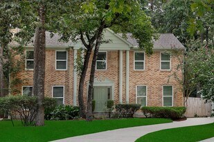 6 Berryfrost Ln in Spring, TX - Building Photo