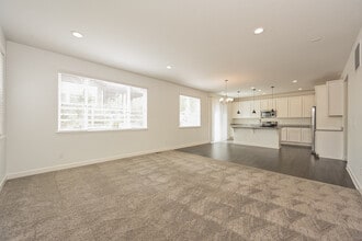 3397 Scaup Trail in Castle Rock, CO - Building Photo - Building Photo