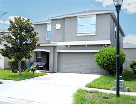 15413 Dark Star Ln in Ruskin, FL - Building Photo