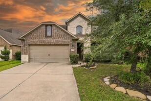 26507 Grey Sparrow Dr in Katy, TX - Building Photo