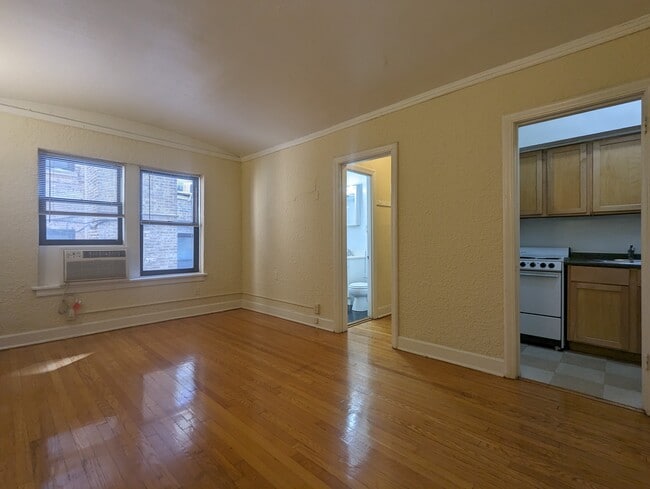 535 W Arlington Pl, Unit 536-114