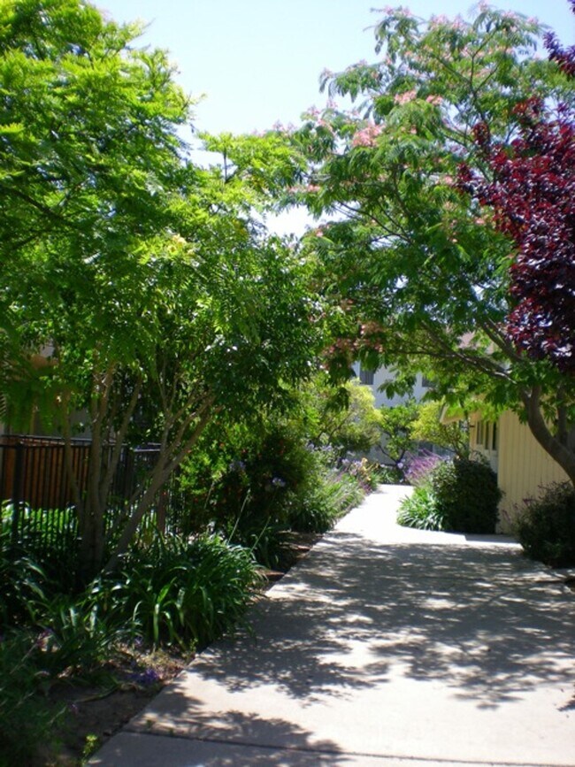 4700 Dexter Dr in Goleta, CA - Building Photo - Building Photo