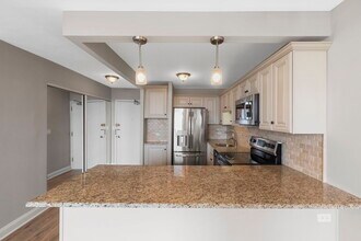 1355 N Sandburg Terrace in Chicago, IL - Building Photo - Building Photo