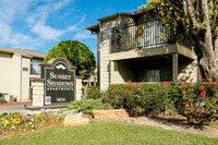 Sunset Shadows photo'