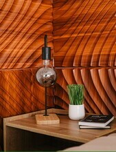 3513 Merrill Pl in Charlotte, NC - Building Photo - Building Photo