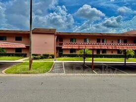 141 Lakeside Dr in Oldsmar, FL - Building Photo