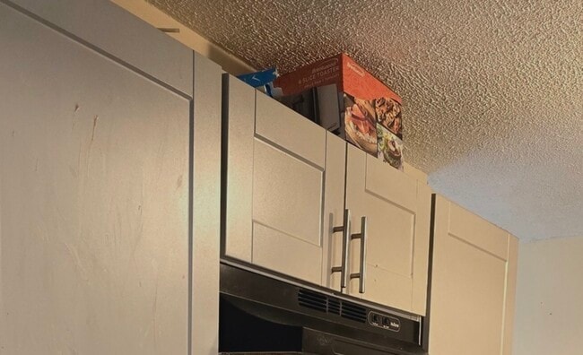 1751 Queensbury Cir in Hoffman Estates, IL - Building Photo - Building Photo